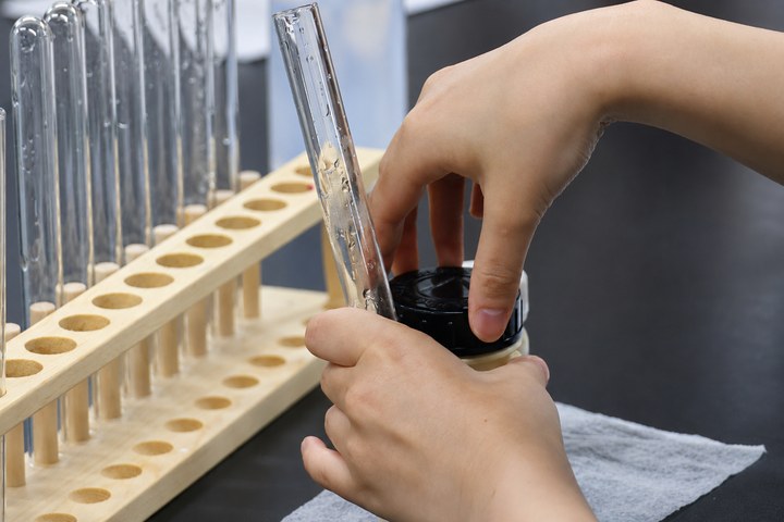 実験参加者が試験管を手に取り、化学実験を体験している様子