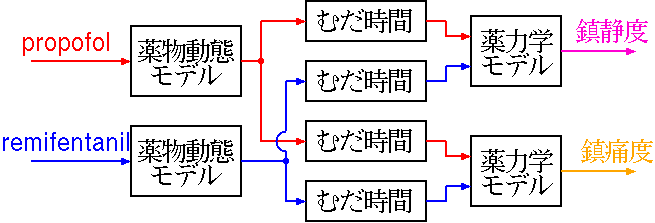 モデル