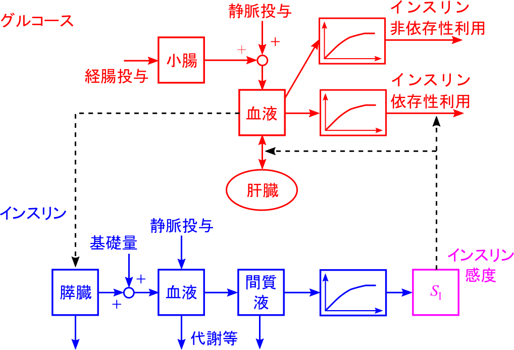 改良した最小モデルに基づく重症患者の糖代謝モデル