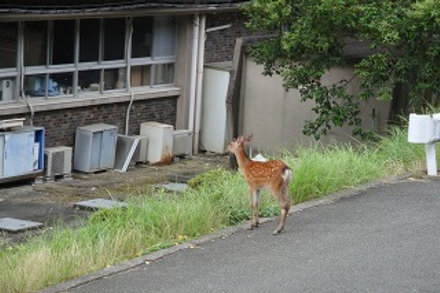img0007.jpg