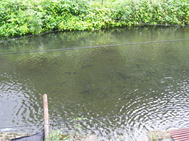 img0023.jpg