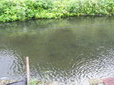 img0023.jpg