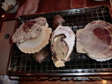 img0050.jpg
