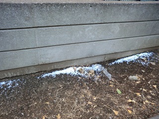 img0031.jpg