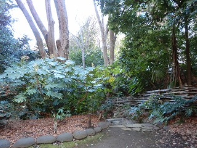 img0057.jpg