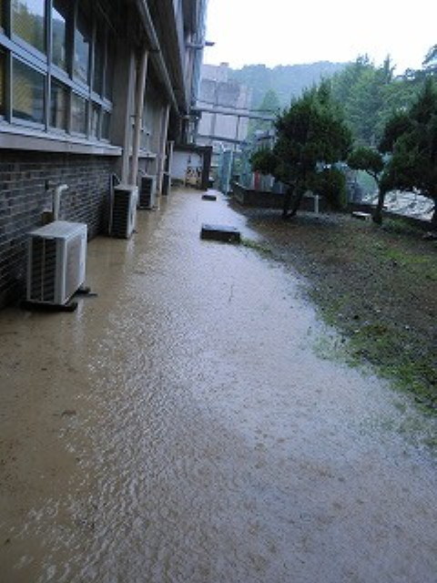 img0009.jpg