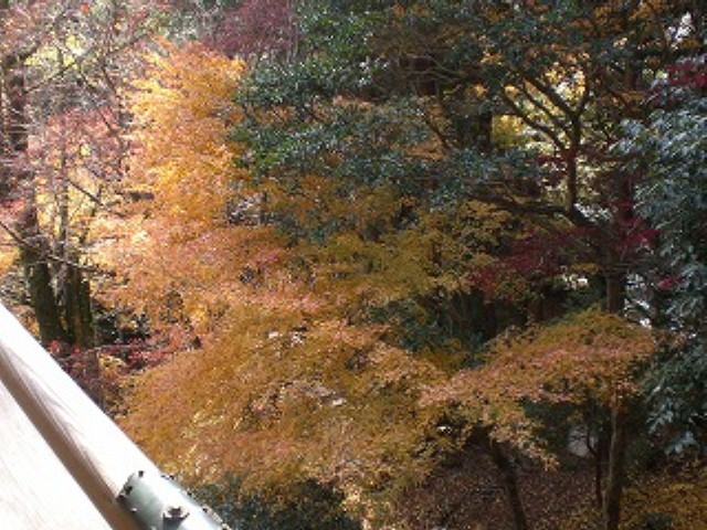 img0017.jpg