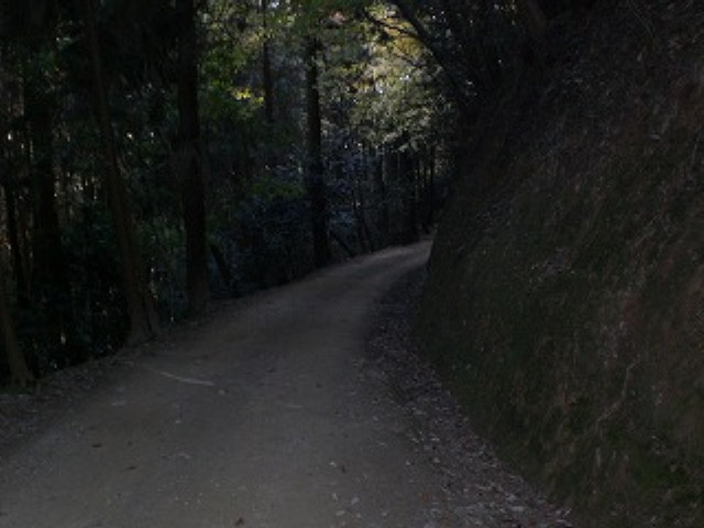 img0039.jpg