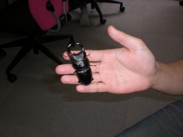 img0003.jpg