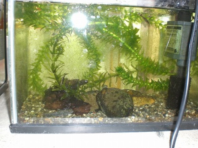 img0008.jpg
