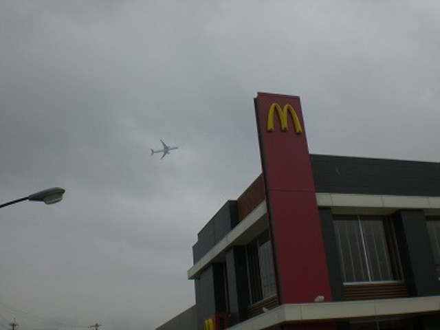 img0009.jpg