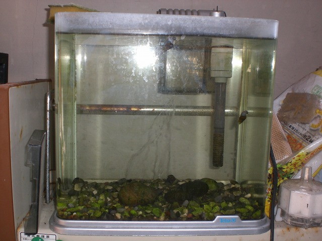 img0009.jpg