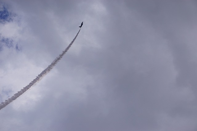 img0003.jpg