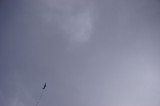 img0004.jpg