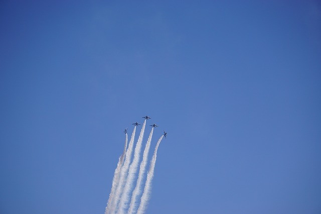 img0006.jpg
