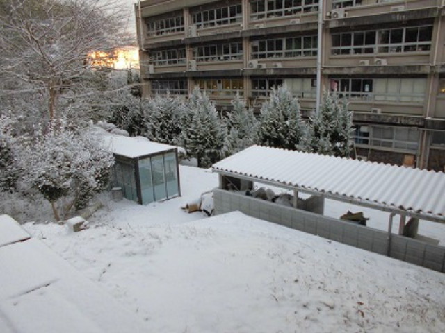 img0029.jpg