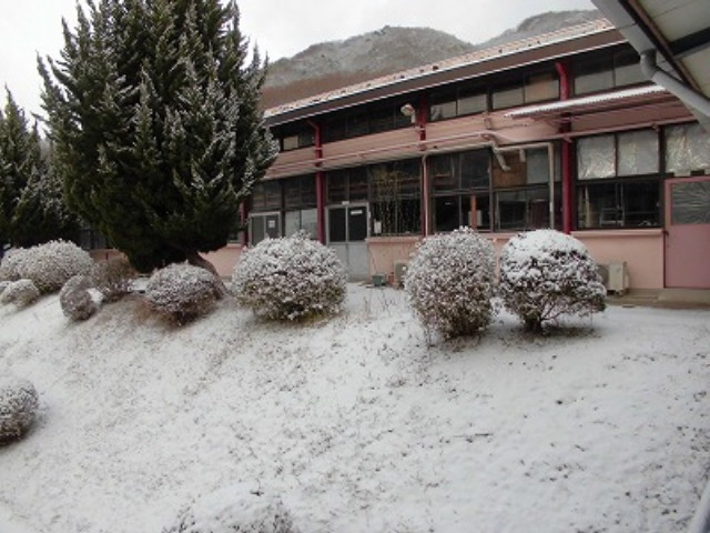 img0036.jpg