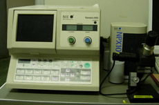 NPX