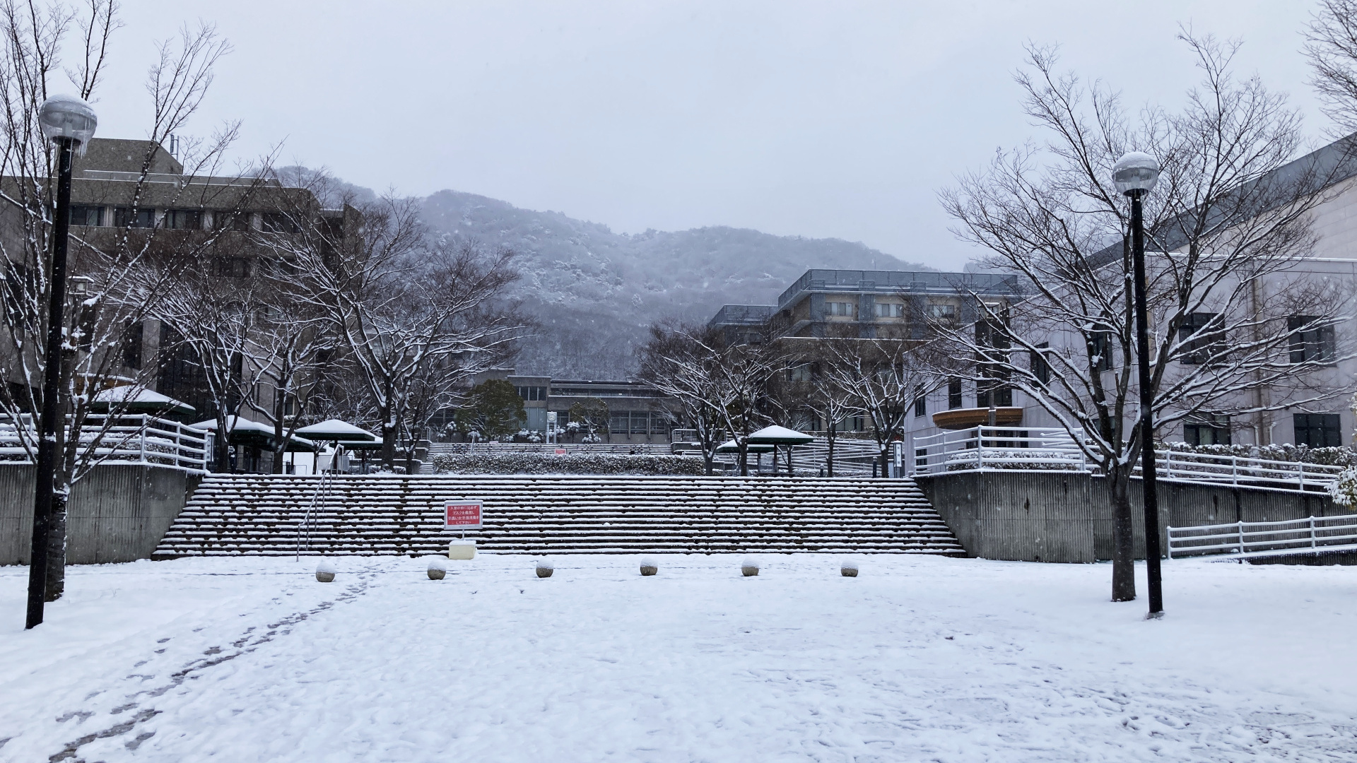 雪景色のキャンパス