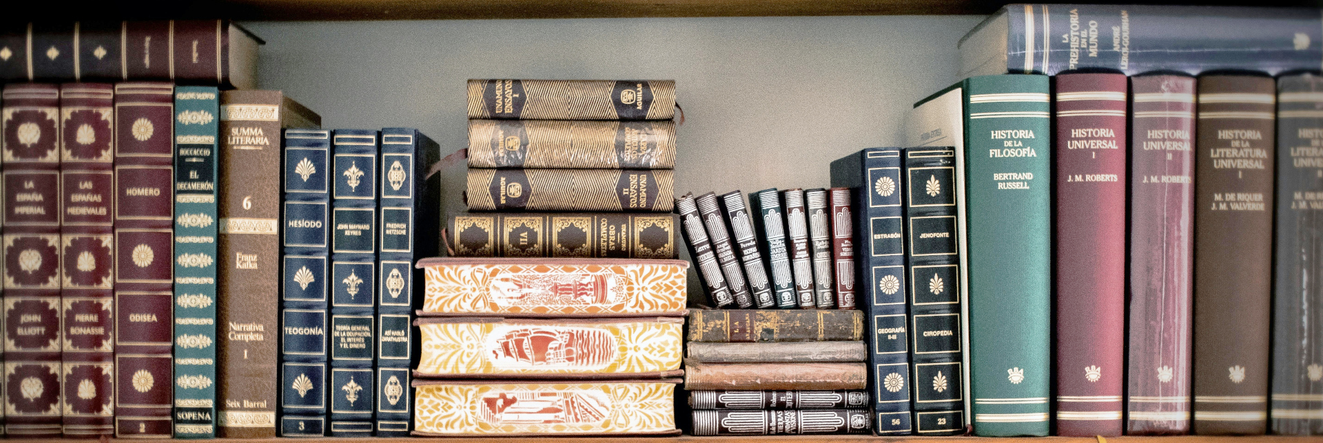 データベース・文献のイメージ図