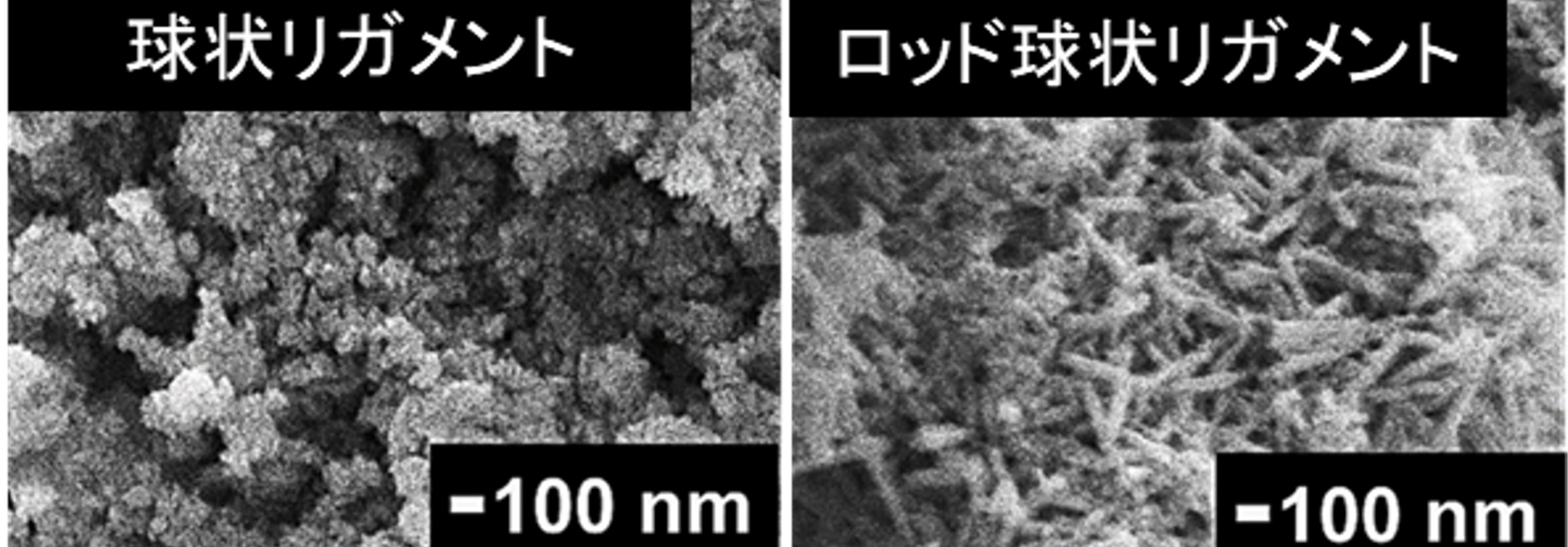 脱合金化による多孔質構造の制御