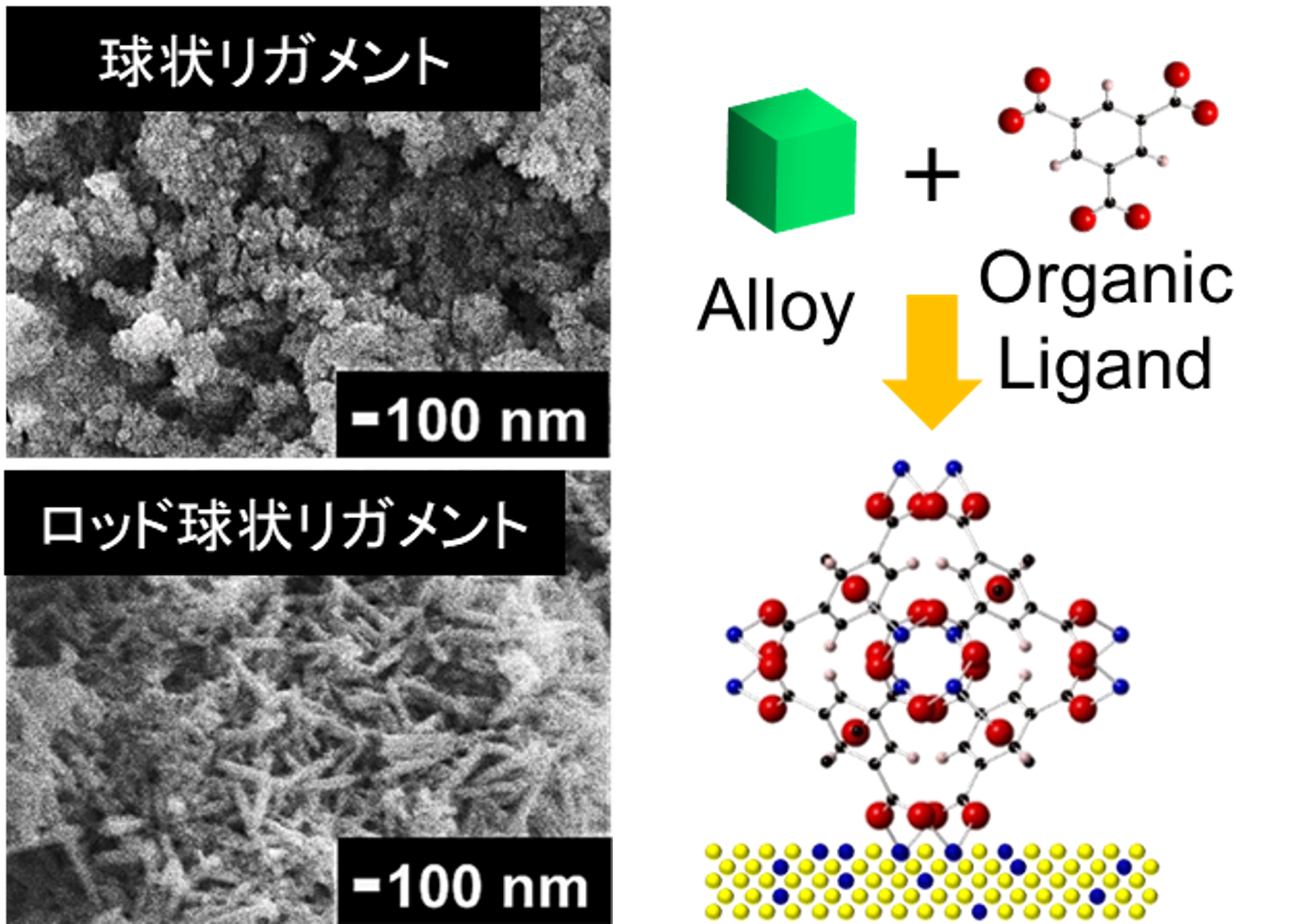 多孔質触媒とMOFs修飾