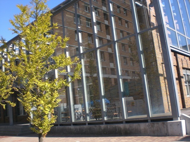 img0008.jpg
