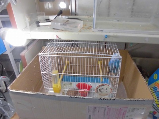 img0023.jpg