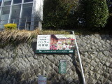 img0002.jpg