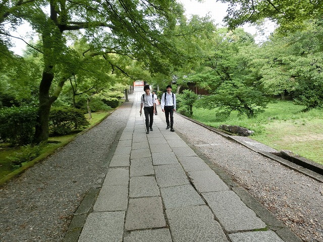 img0016.jpg