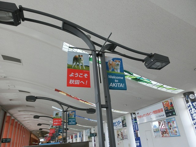 img0028.jpg