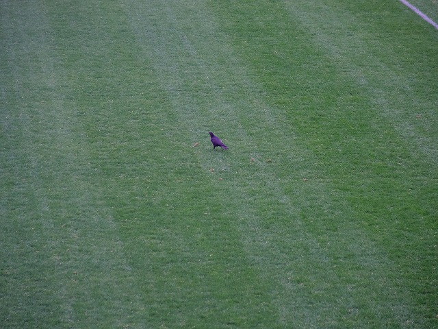 img0006.jpg