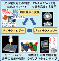 物質合成と変換・ナノテクノロジー・バイオテクノロジーの関係図