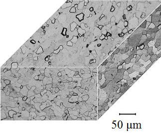 Double Ridge Micrograph 3. Optical micrograph
